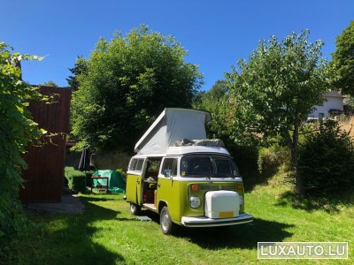 VW T2