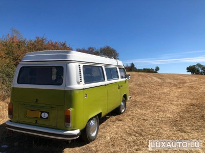 VW T2