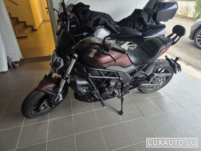 Benelli 502 C
