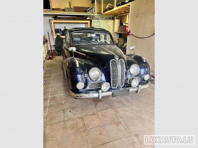 BMW 502