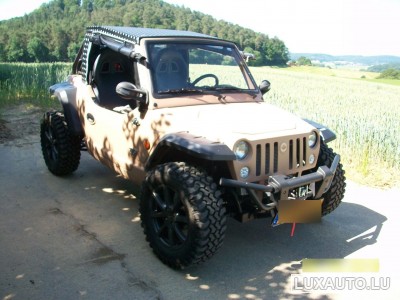 Quadix Buggy 1100