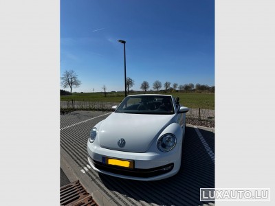 VW Beetle