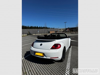 VW Beetle