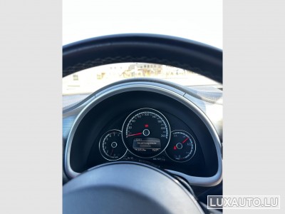 VW Beetle