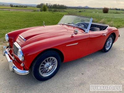 Austin-Healey 100 / 6