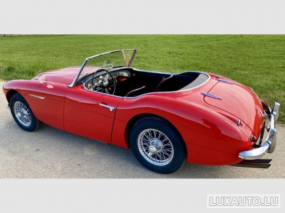 Austin-Healey 100 / 6