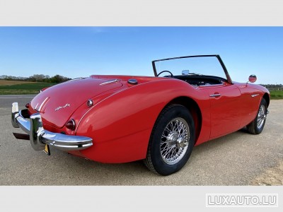 Austin-Healey 100 / 6