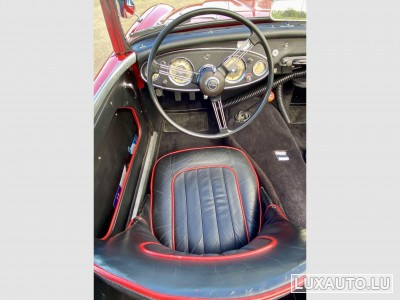 Austin-Healey 100 / 6