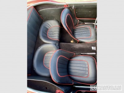 Austin-Healey 100 / 6