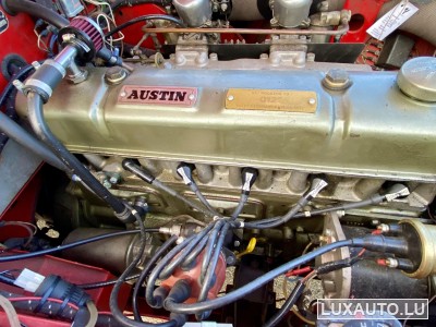 Austin-Healey 100 / 6