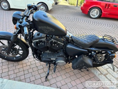 Harley-Davidson XL 883