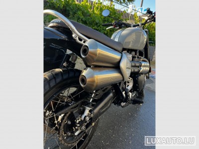 Triumph Scrambler