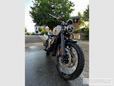 Triumph Scrambler