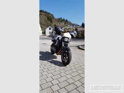 BMW F