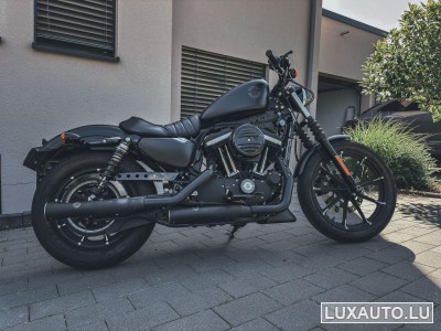 Harley-Davidson XL 883