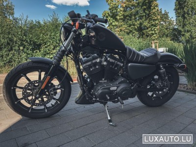 Harley-Davidson XL 883
