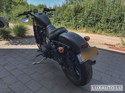Harley-Davidson XL 883