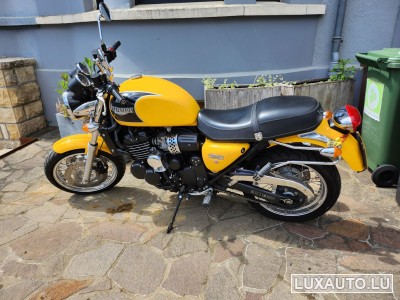 Triumph Thunderbird