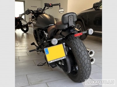 Indian Scout