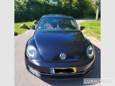 VW Beetle