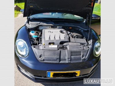 VW Beetle