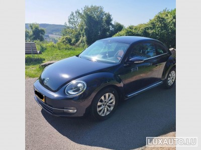 VW Beetle