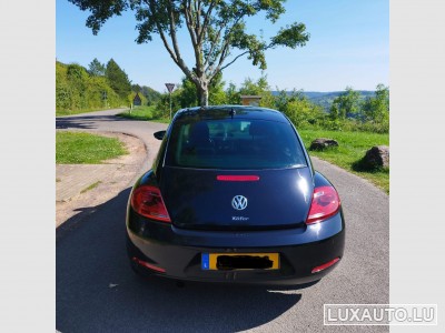 VW Beetle