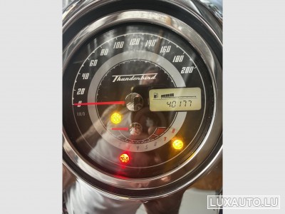 Triumph Thunderbird
