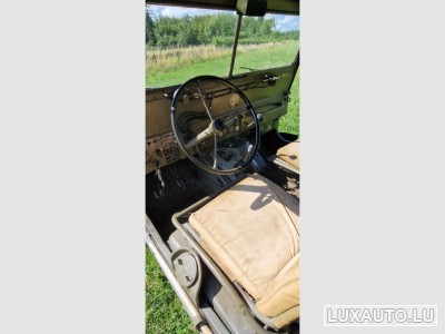 Ford Mutt