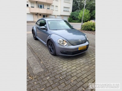 VW Beetle