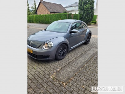VW Beetle