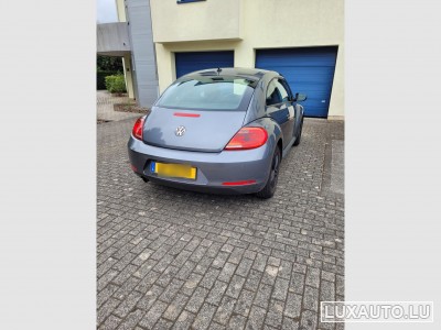 VW Beetle