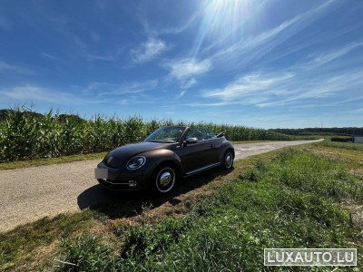 VW Beetle