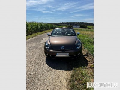 VW Beetle