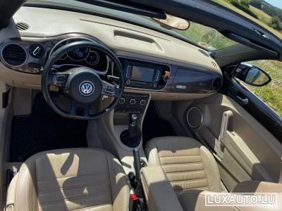 VW Beetle