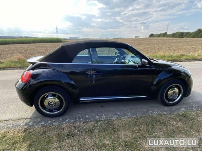 VW Beetle