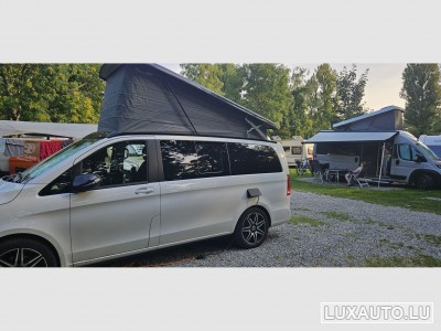 Mercedes V Marco Polo