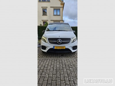 Mercedes V Marco Polo