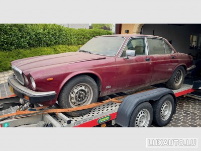 Jaguar XJ12