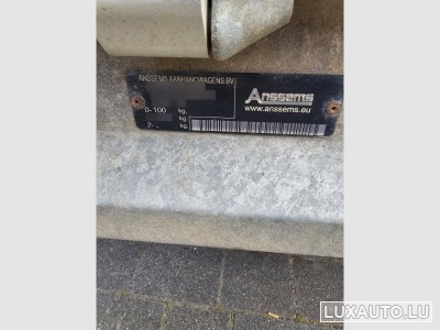 Anhänger Bâchée