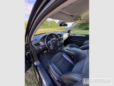 Mercedes ML 250