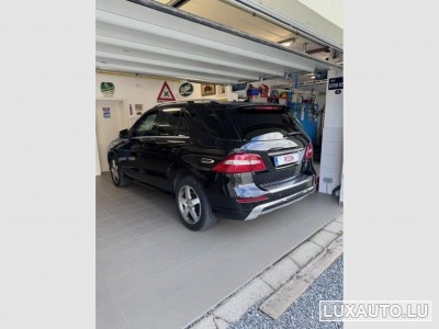 Mercedes ML 250