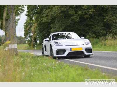 Porsche Cayman