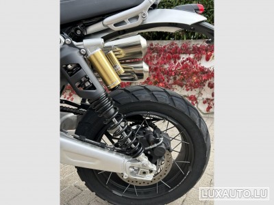 Triumph Street Scrambler