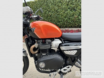 Triumph Street Scrambler