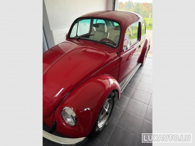 VW Coccinelle