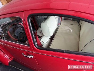 VW Coccinelle