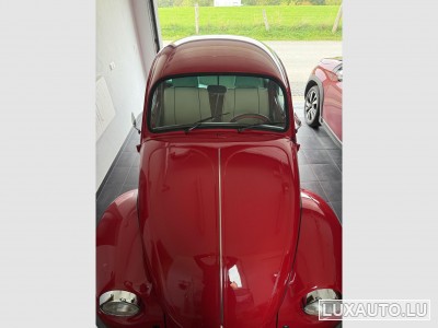 VW Coccinelle