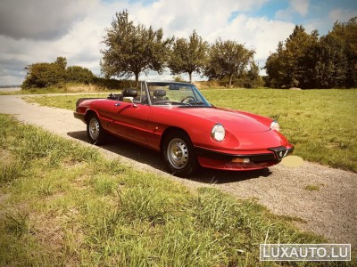 Alfa-Romeo Spider