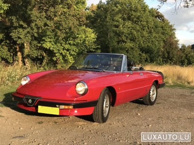 Alfa-Romeo Spider